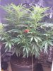 20160922_141554.jpg