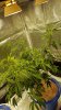 20160924_232341.jpg
