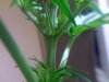 02-28-09_0017.jpg