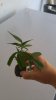 20160927_160910.jpg