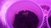 DSC02300.JPG