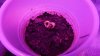 DSC02323.JPG