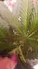 20160928_141401.jpg