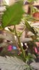 20160928_141326.jpg