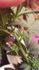 20160928_141239.jpg