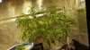 20160929_024659.jpg