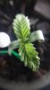 20161001_184935.jpg