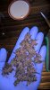 WP_20161001_14_34_17_Pro.jpg