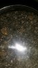 20161002_221759.jpg 20161002_221759.jpg