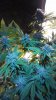 20161002_085909.jpg