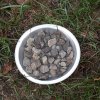 IMG_20161004_082028.jpg