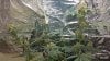 20161004_042256.jpg 20161004_042256.jpg