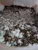 upload_2016-10-5_9-4-30.png upload_2016-10-5_9-4-30.png