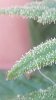 20161006_185300.jpg