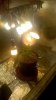 WP_20161006_007.jpg