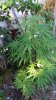 20161004_171051.jpg