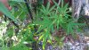 20161004_171003.jpg