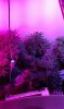 VZM.IMG_20161006_211626.jpg