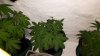 20161007_075625.jpg