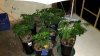 20161007_075558.jpg