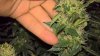 WP_20161008_16_20_46_Rich.jpg WP_20161008_16_20_46_Rich.jpg