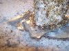 100_0182.jpg