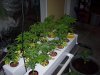 000_0560.jpg