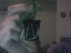 IMG000021.jpg