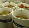 DSC00245.JPG