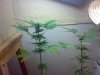 28022009819.jpg