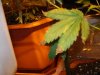 DSC05719.jpg