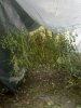 2016-10-09_17-09-43_140.jpg