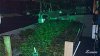 zcamera-20161010_134528.jpg