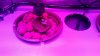 20161013_084610_noexif.jpg