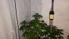 20161013_124711.jpg