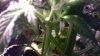 thumbnail_WP_20161013_001.jpg