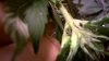 thumbnail_WP_20161014_009.jpg