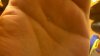 thumbnail_WP_20161014_015.jpg