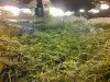 IMG_20161013_024856950.jpg