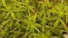 20161015_013123.jpg