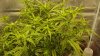 20161016_033818.jpg