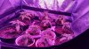 20161016_171209.jpg