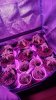 20161016_171158.jpg