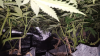 Screenshot_2016-10-16-23-43-03.png