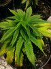 20161017_104959.jpg
