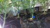 20161017_233159.jpg
