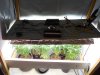 Plants01.jpg Plants01.jpg