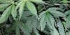 20161017_173853.jpg