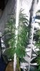 20150416_172451.jpg