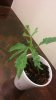 20161018_000554.jpg